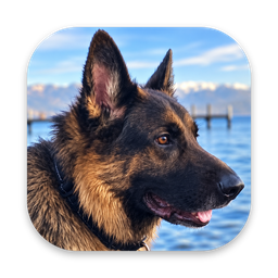 Mail Shepherd app icon: a German shepherd by a lake