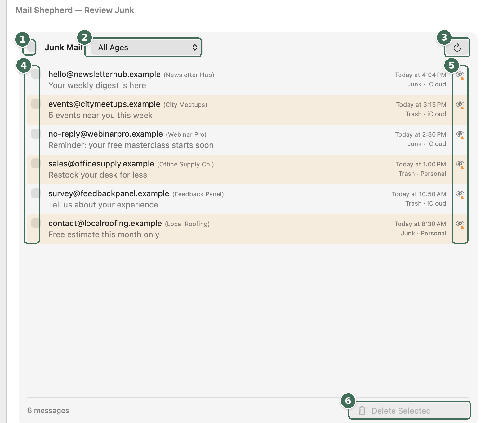 The Review Junk page listing six junk messages